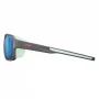 Очки Julbo Monterosa 2 542 (11 21)