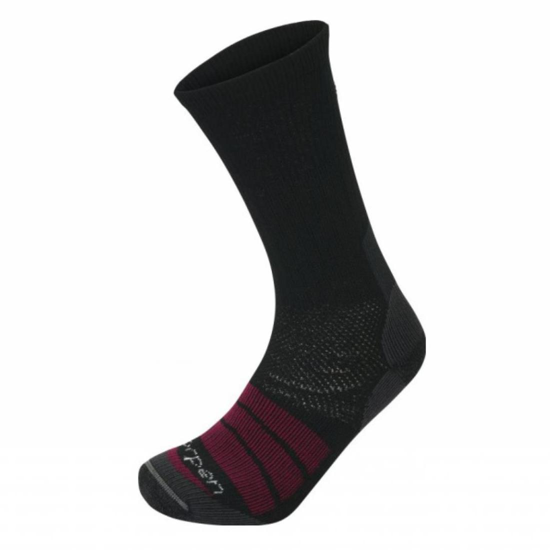 Носки Lorpen TCTN Trekking Thermolite