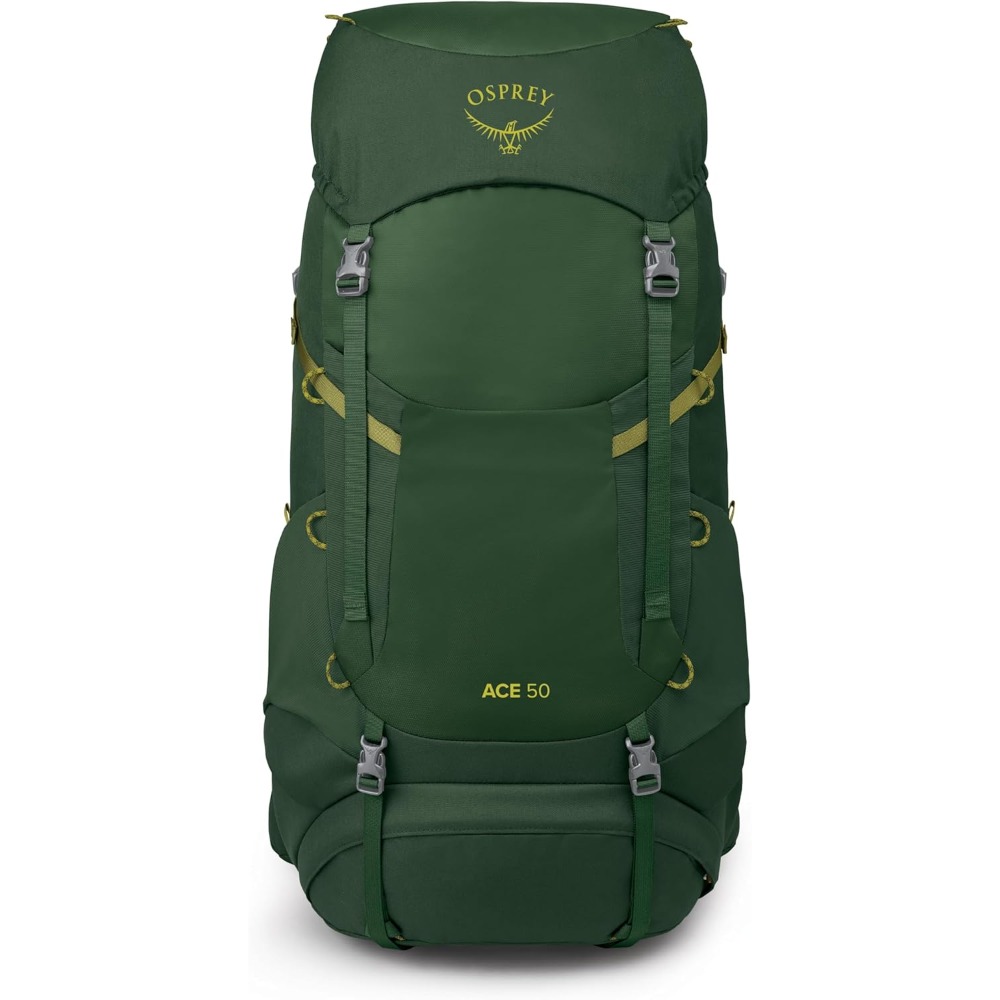 Рюкзак Osprey Ace 50 (green canopy (9181647))