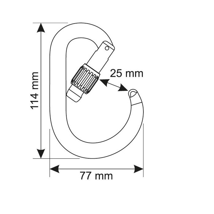 Карабин CAMP Core Lock