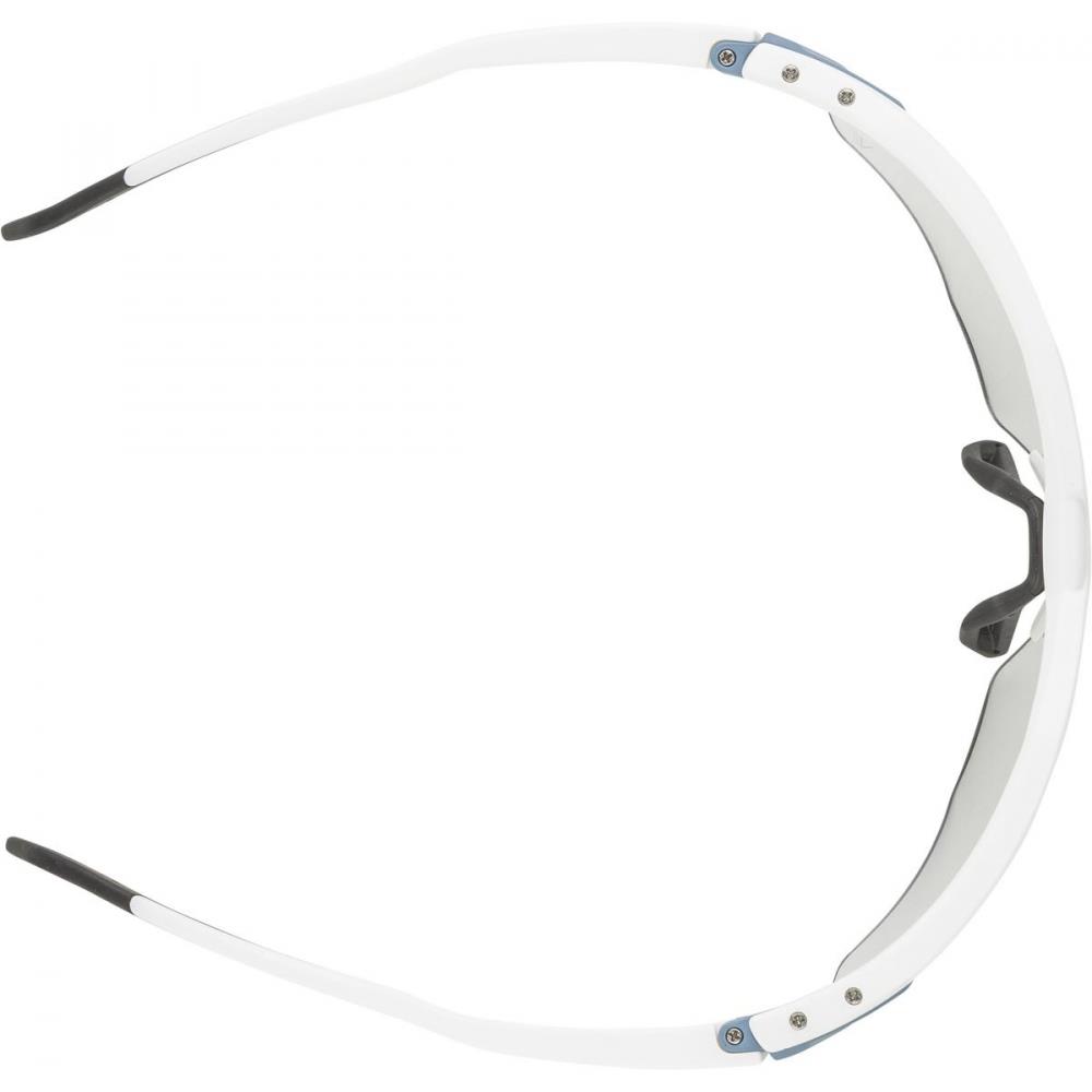 Очки Alpina Twist Six HR V (M)