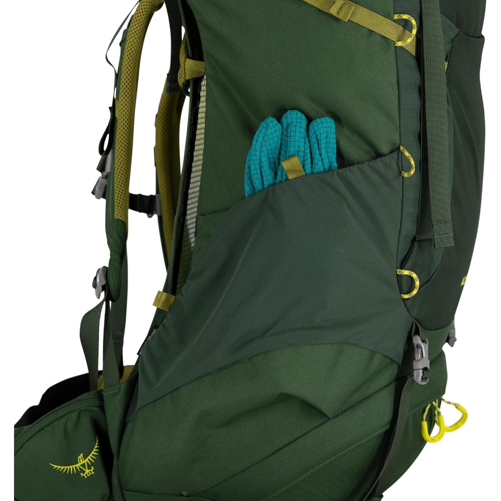 Рюкзак Osprey Ace 50 (green canopy (9181647))