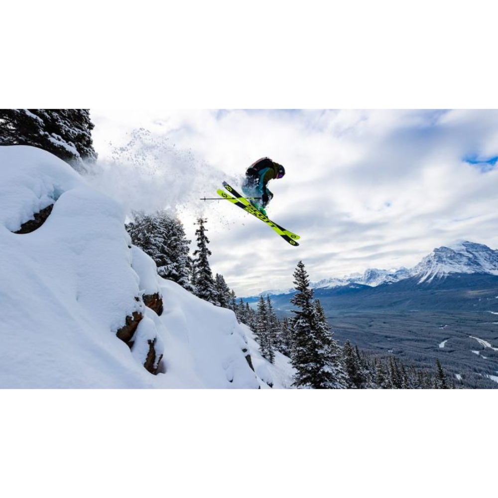 Палки Scott Pure Adjust SRS