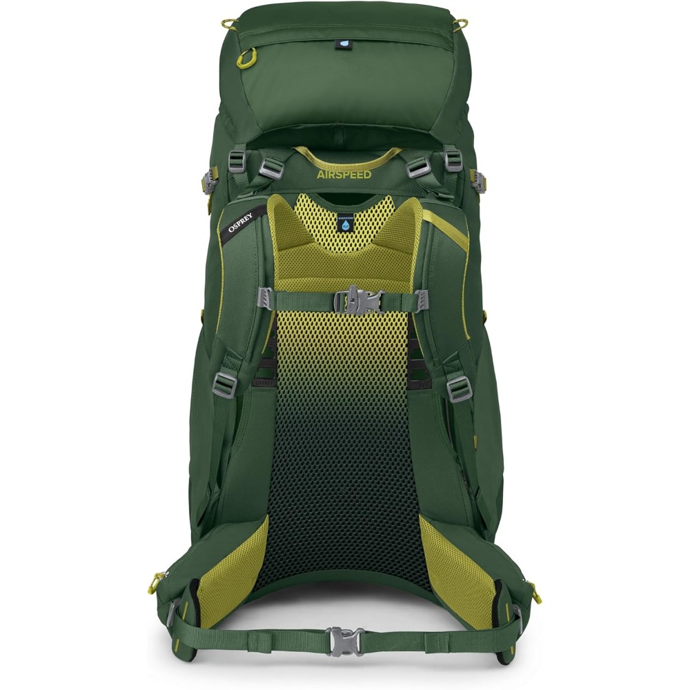 Рюкзак Osprey Ace 50 (green canopy (9181647))