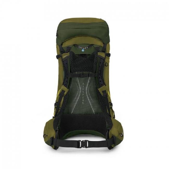 Рюкзак Osprey Atmos AG LT 50 (L/XL, scenic valley/green peppercorn (9174038))