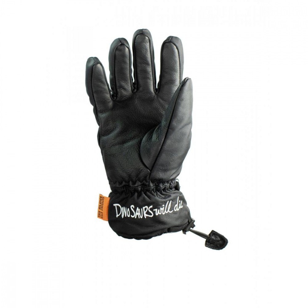 Перчатки Salmon Arms Dinosaurs Will Die