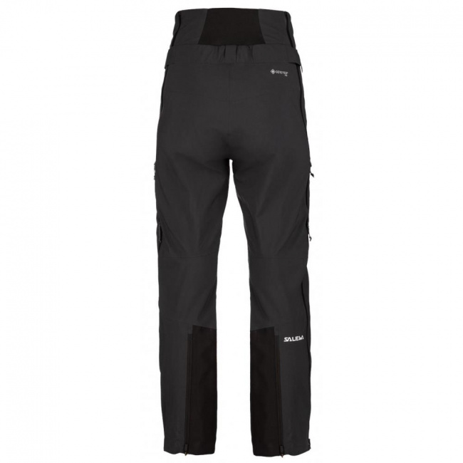 Брюки Salewa Ortles GTX Pro