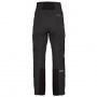 Брюки Salewa Ortles GTX Pro