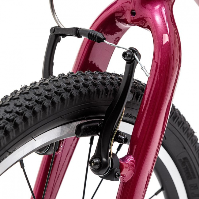 Велосипед Welt 25 Moovix 1.0 20 V