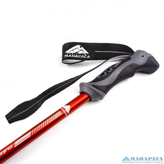 Палки треккинговые Манарага Alpine