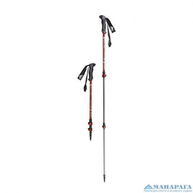 Палки треккинговые Манарага Alpine