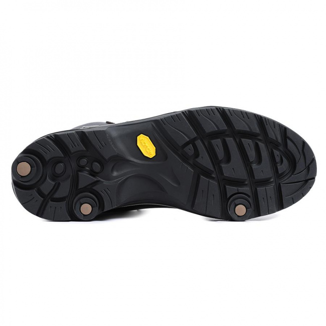 Ботинки Asolo TPS 520 GV MM Evo