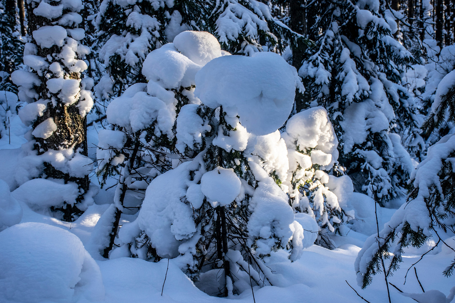 Про прогулку на Двуглавую сопку от Сергея Маркова