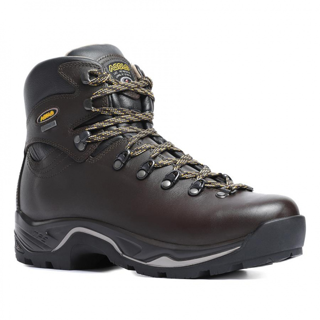 Ботинки Asolo TPS 520 GV MM Evo
