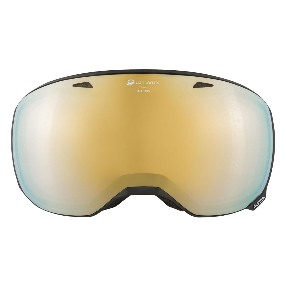 Маска Alpina Big Horn Q