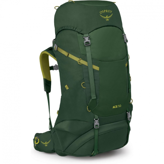 Рюкзак Osprey Ace 50 (green canopy (9181647))