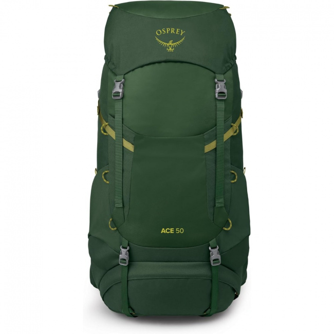 Рюкзак Osprey Ace 50 (green canopy (9181647))