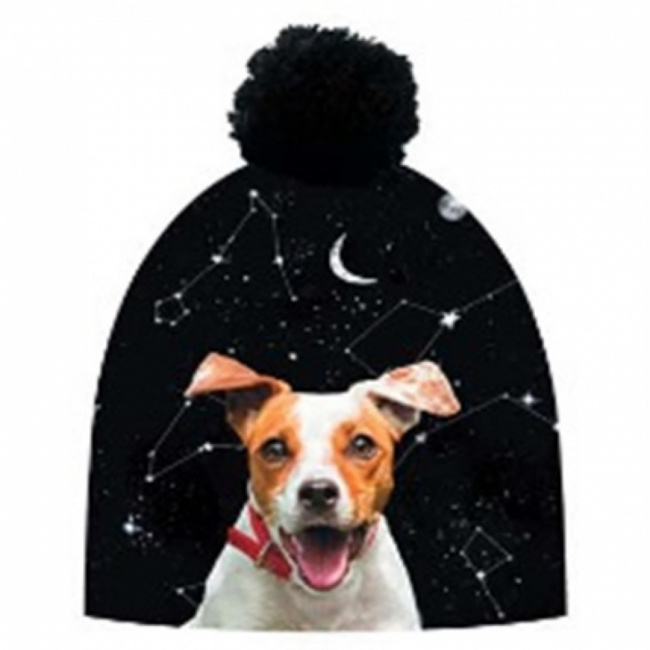 Шапка Hauer Galaxy Dog (с помпоном)
