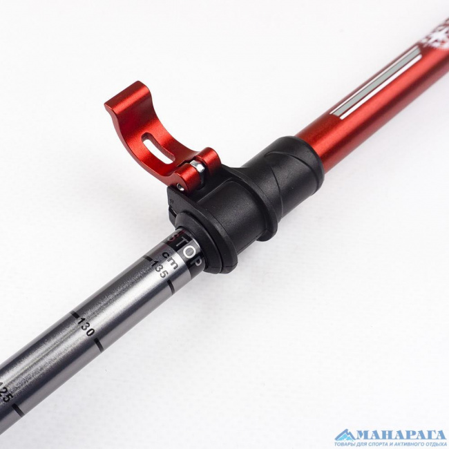 Палки треккинговые Манарага Alpine