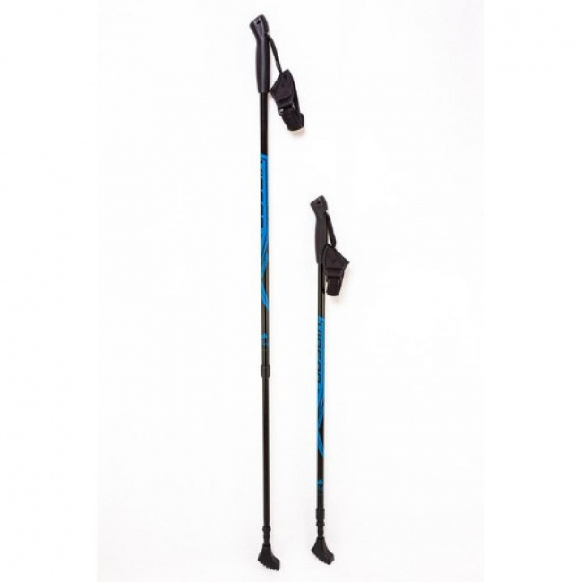 Палки для скандинавской ходьбы Vinson Plus