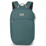 Рюкзак Osprey Arcane Large Day 20