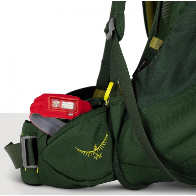 Рюкзак Osprey Ace 50 (green canopy (9181647))