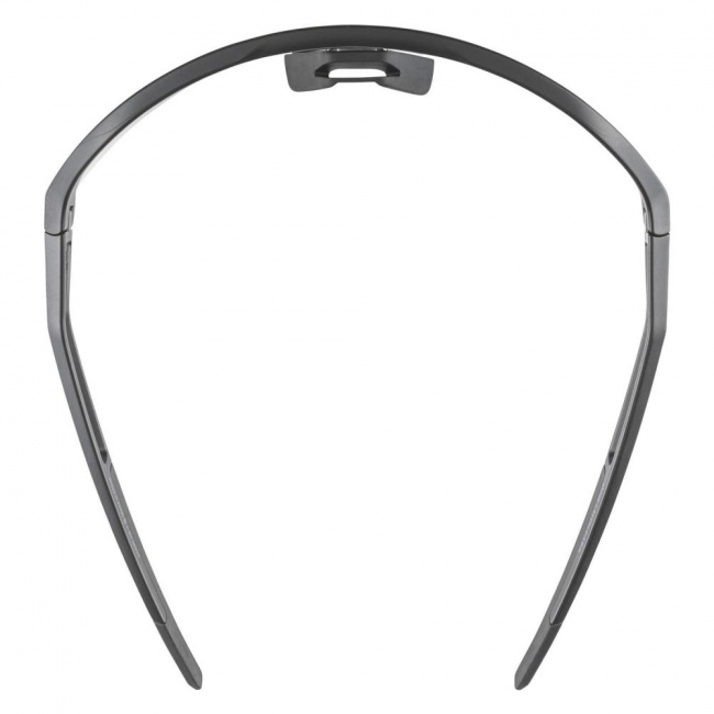 Очки Alpina Sonic HR V