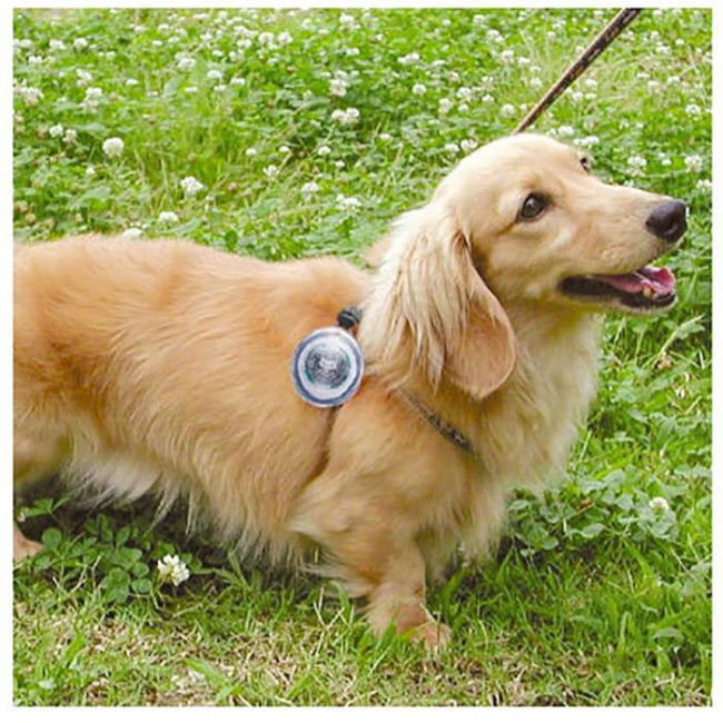 Фонарь безопасности CAT EYE SL-LD100