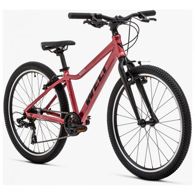 Велосипед Welt 25 Moovix 1.0 24 V