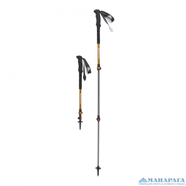 Палки треккинговые Манарага Chamonix