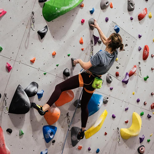 Мешочек для магнезии YY Vertical T-Rex