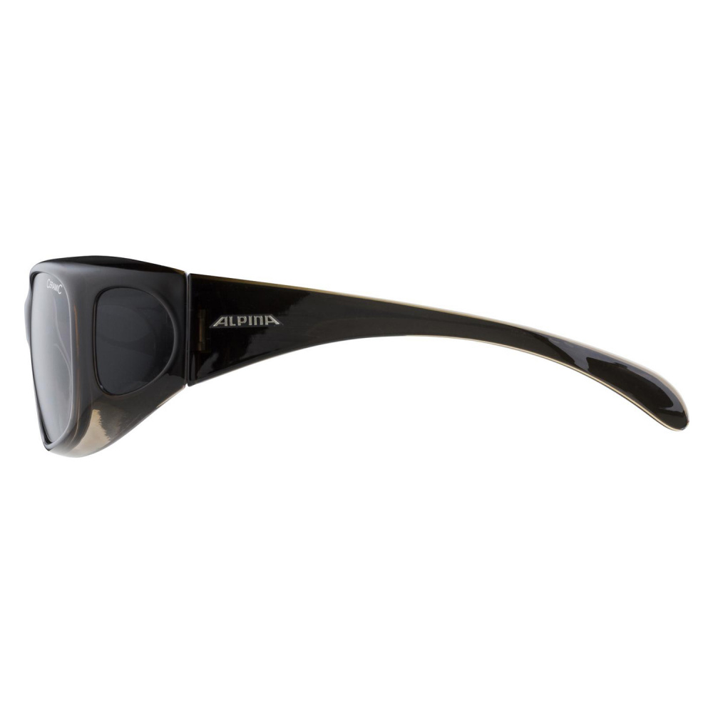 Очки Alpina Overview 