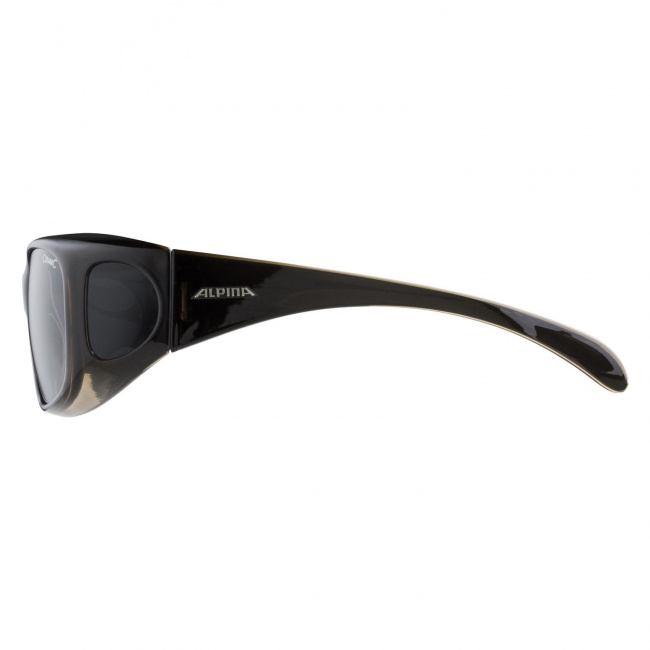 Очки Alpina Overview 