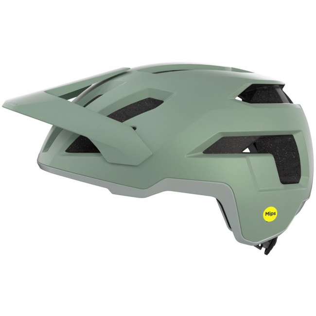 Шлем Alpina Taunus Mips