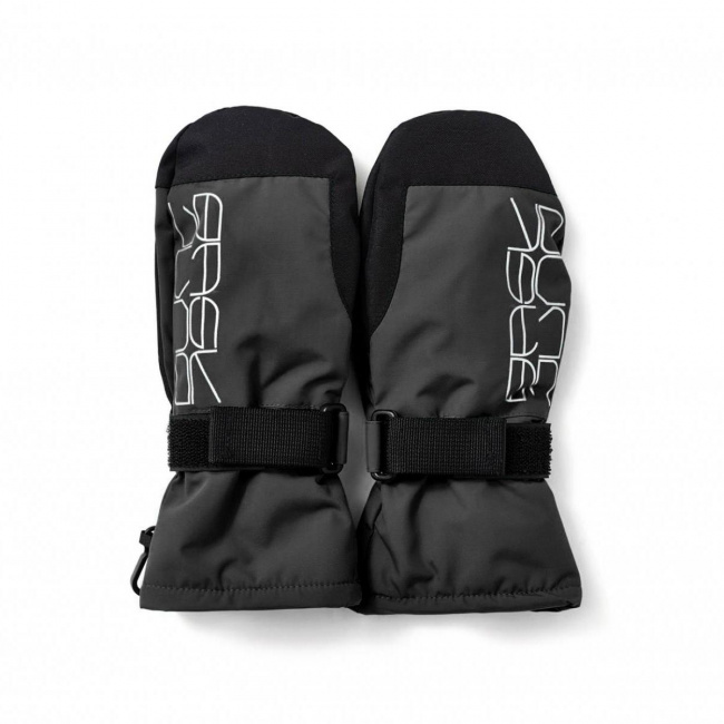 Рукавицы BASK Spirit