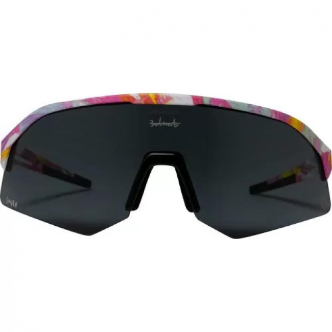 Очки Alpina Sonic HR