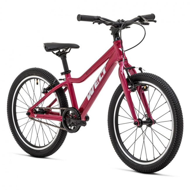 Велосипед Welt 25 Moovix 1.0 20 V