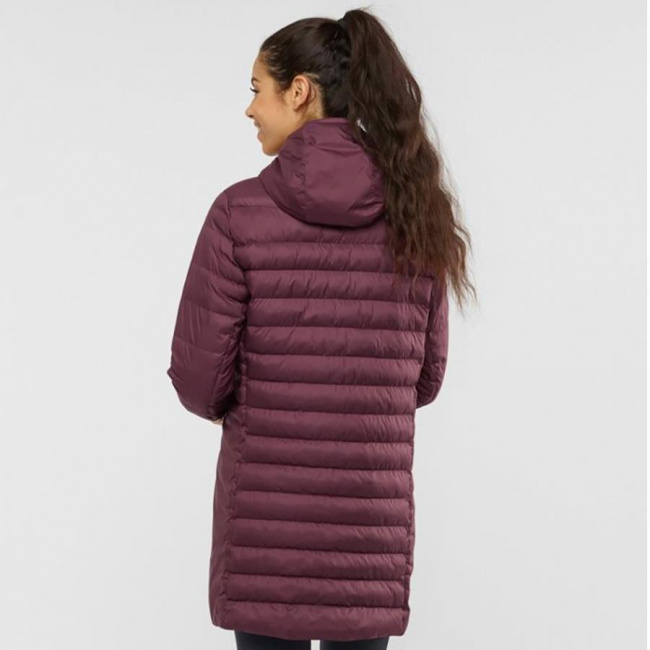 Куртка Salomon Sight Storm Hoodie W