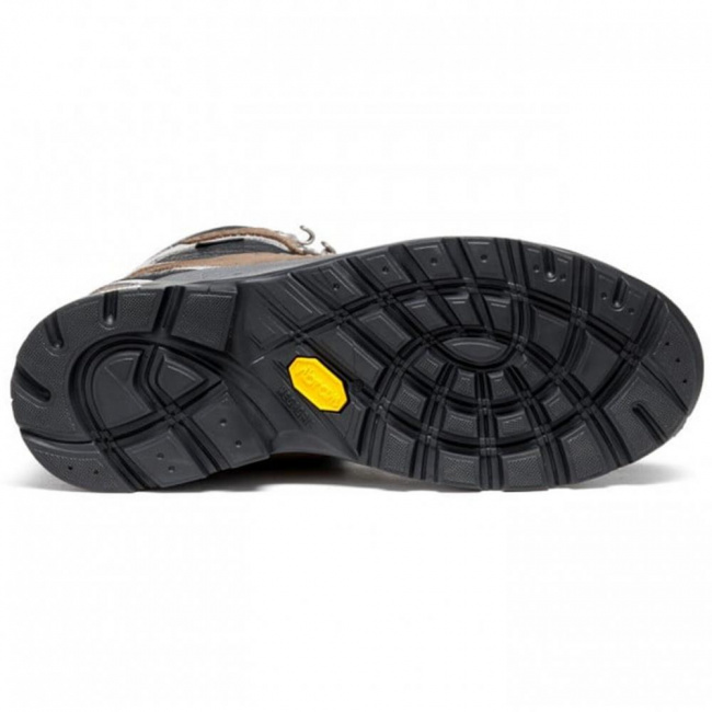 Ботинки Asolo Greenwood Evo GV ML 