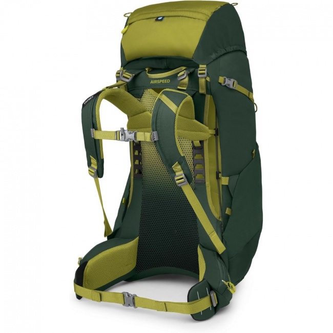 Рюкзак Osprey Ace 50 (green canopy (9181647))
