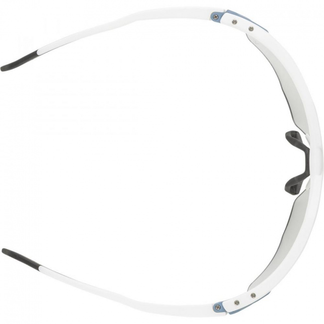 Очки Alpina Twist Six HR V (M)