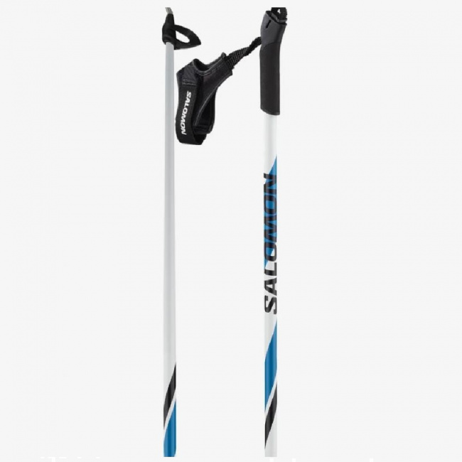 Палки лыжные Salomon R 20 Jr