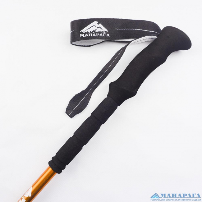Палки треккинговые Манарага Chamonix
