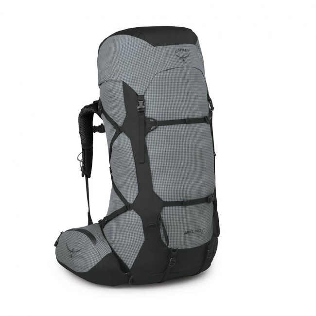 Рюкзак Osprey Ariel Pro 75 W (WM/WL, silver lining (9174037))