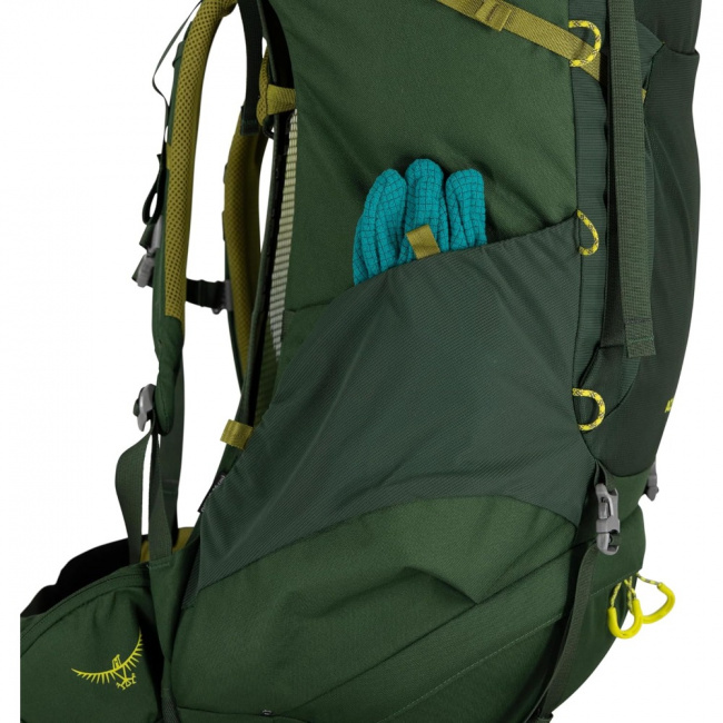 Рюкзак Osprey Ace 50 (green canopy (9181647))