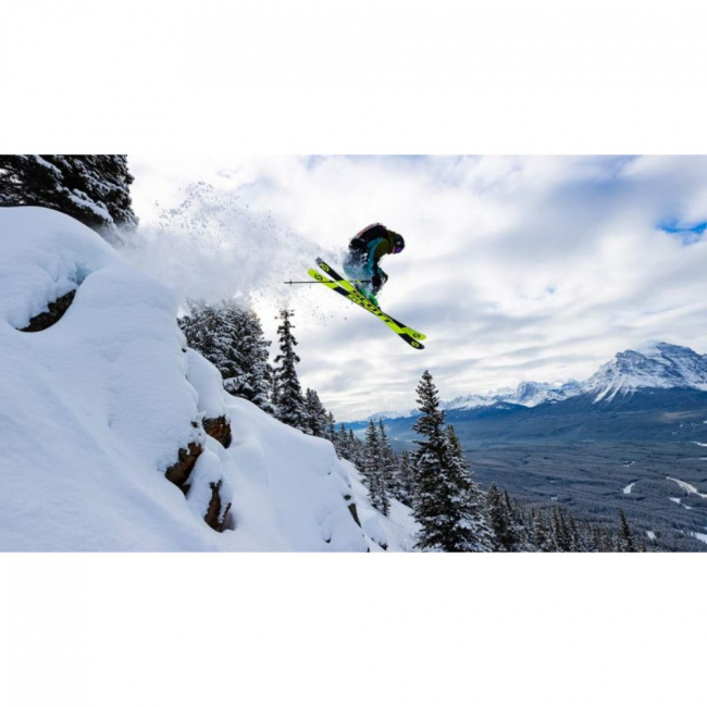 Палки Scott Pure Adjust SRS