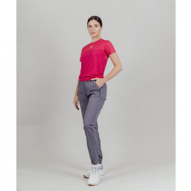 Брюки Nordski Pro Energy W /2023/