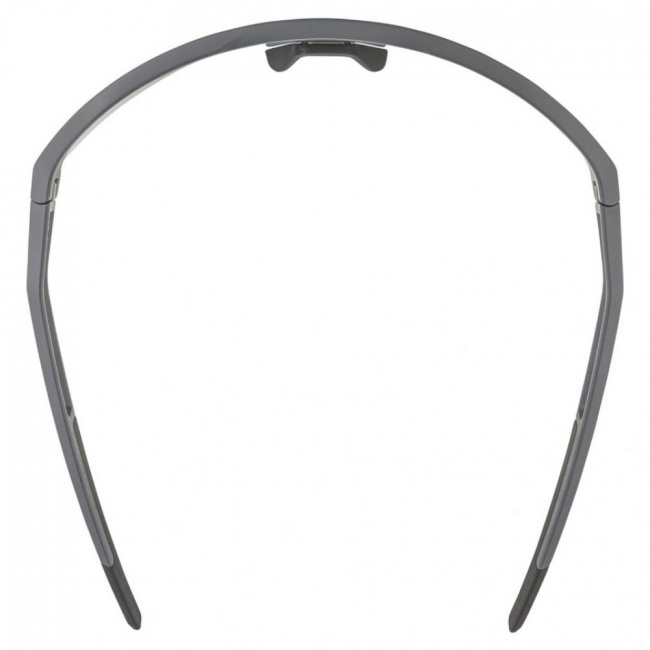 Очки Alpina Sonic HR QV