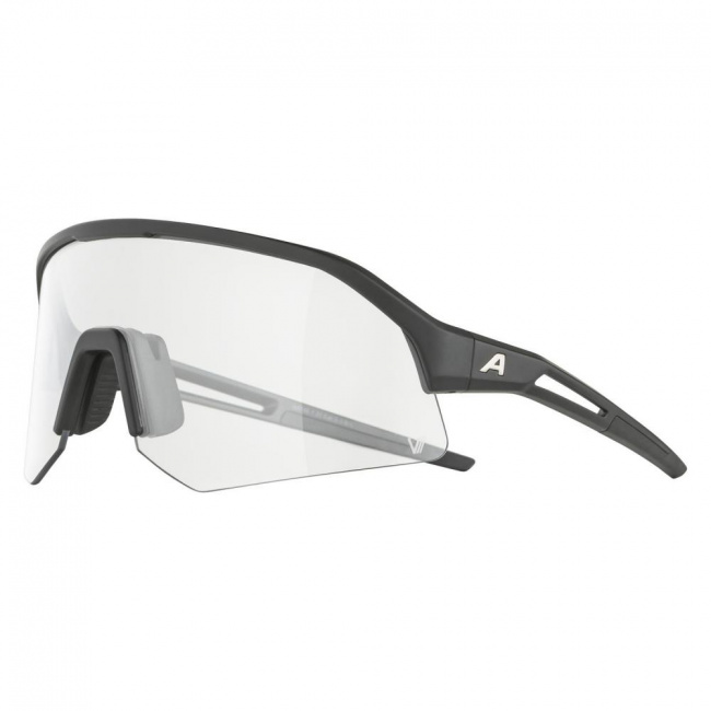 Очки Alpina Sonic HR V