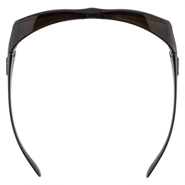 Очки Alpina Overview 